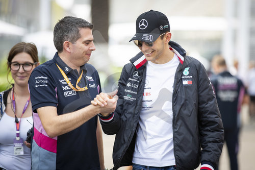 Motorsports: FIA Formula One World Championship 2019, Grand Prix of Mexico