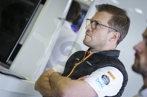 Motorsports: FIA Formula One World Championship 2019, Grand Prix of Mexico