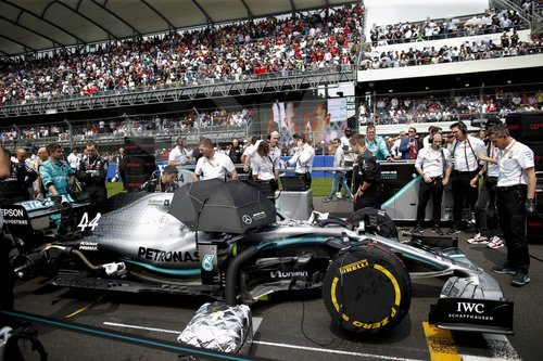 Motorsports: FIA Formula One World Championship 2019, Grand Prix of Mexico