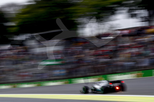 Motorsports: FIA Formula One World Championship 2019, Grand Prix of Brazil