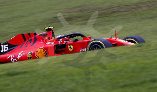 Motorsports: FIA Formula One World Championship 2019, Grand Prix of Brazil