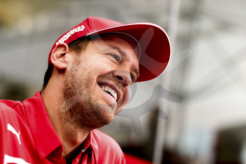 Motorsports: FIA Formula One World Championship 2019, Grand Prix of Brazil