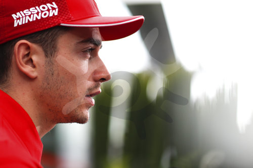 Motorsports: FIA Formula One World Championship 2019, Grand Prix of Brazil