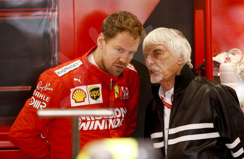 Motorsports: FIA Formula One World Championship 2019, Grand Prix of Brazil