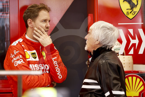 Motorsports: FIA Formula One World Championship 2019, Grand Prix of Brazil