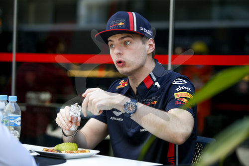 Motorsports: FIA Formula One World Championship 2019, Grand Prix of Brazil