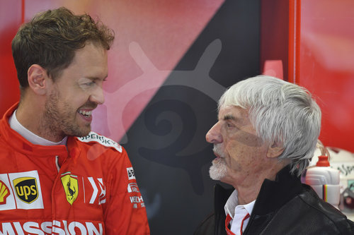 Motorsports: FIA Formula One World Championship 2019, Grand Prix of Brazil