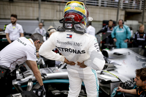 Motorsports: FIA Formula One World Championship 2019, Grand Prix of Brazil