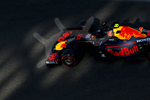 Motorsports: FIA Formula One World Championship 2019, Grand Prix of Abu Dhabi