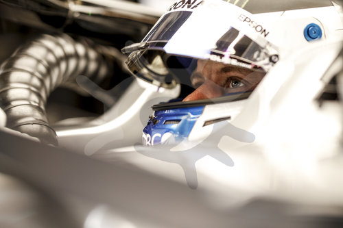 Motorsports: FIA Formula One World Championship 2019, Grand Prix of Abu Dhabi