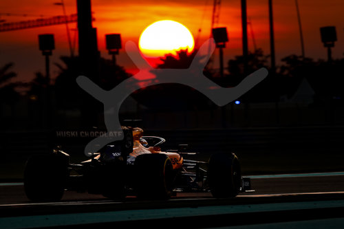 Motorsports: FIA Formula One World Championship 2019, Grand Prix of Abu Dhabi