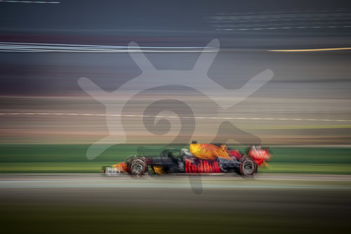 Motorsports: FIA Formula One World Championship 2019, Grand Prix of Abu Dhabi