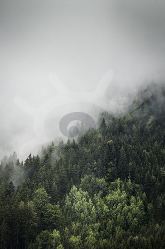 Motorsports: FIA Formula One World Championship 2020, Grand Prix of Styria
