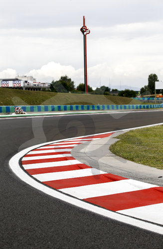 Motorsports: FIA Formula One World Championship 2020, Grand Prix of Hungary