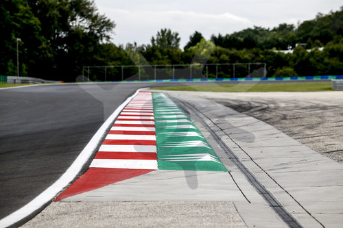 Motorsports: FIA Formula One World Championship 2020, Grand Prix of Hungary