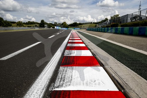 Motorsports: FIA Formula One World Championship 2020, Grand Prix of Hungary