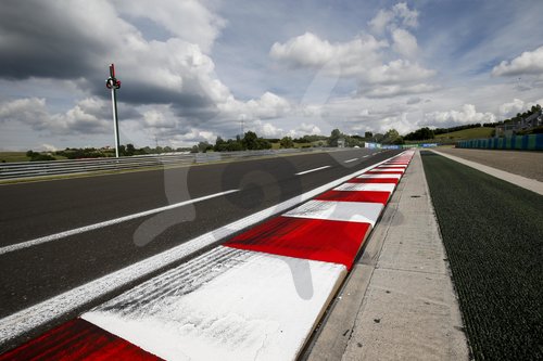 Motorsports: FIA Formula One World Championship 2020, Grand Prix of Hungary