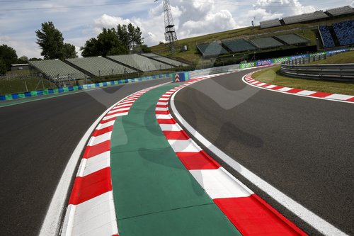 Motorsports: FIA Formula One World Championship 2020, Grand Prix of Hungary