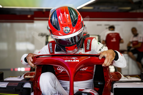 Motorsports: FIA Formula One World Championship 2020, Grand Prix of Hungary