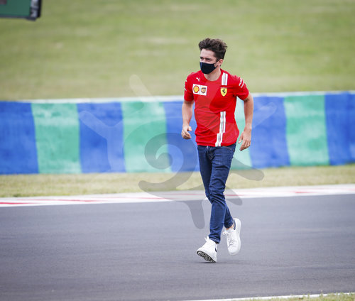 Motorsports: FIA Formula One World Championship 2020, Grand Prix of Hungary