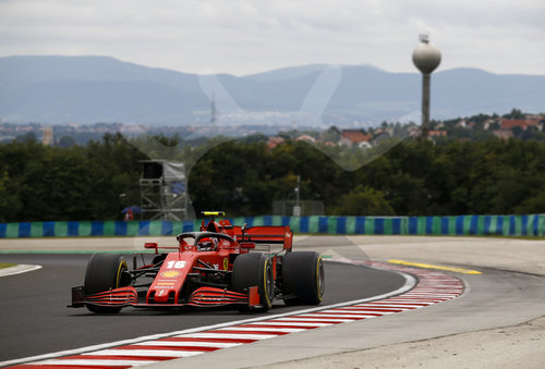 Motorsports: FIA Formula One World Championship 2020, Grand Prix of Hungary