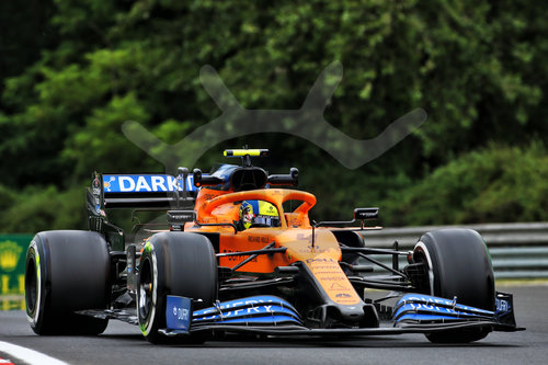 Motorsports: FIA Formula One World Championship 2020, Grand Prix of Hungary