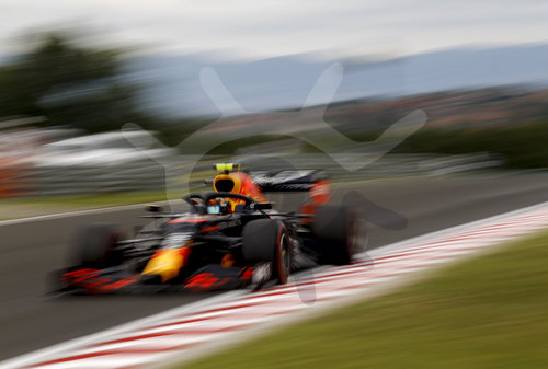 Motorsports: FIA Formula One World Championship 2020, Grand Prix of Hungary