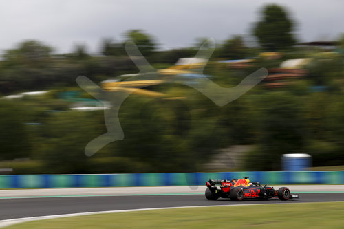 Motorsports: FIA Formula One World Championship 2020, Grand Prix of Hungary