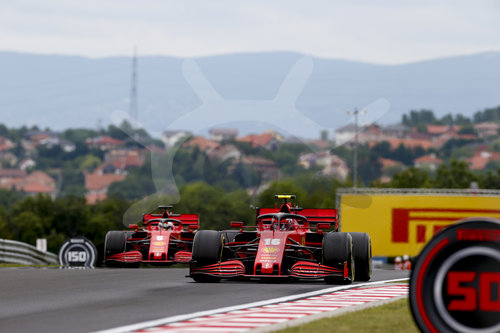 Motorsports: FIA Formula One World Championship 2020, Grand Prix of Hungary