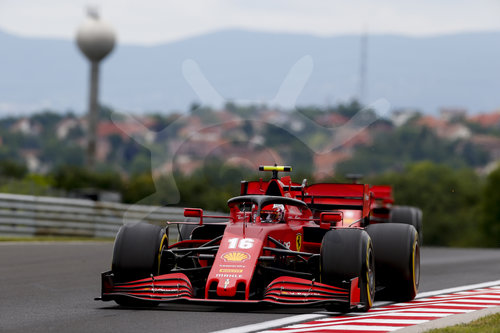 Motorsports: FIA Formula One World Championship 2020, Grand Prix of Hungary