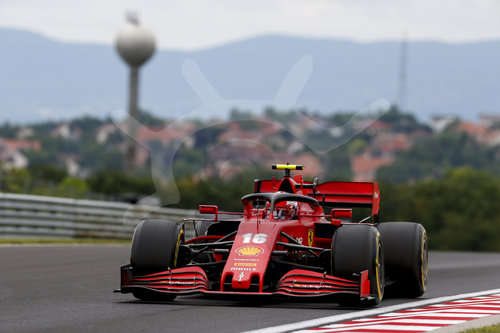 Motorsports: FIA Formula One World Championship 2020, Grand Prix of Hungary