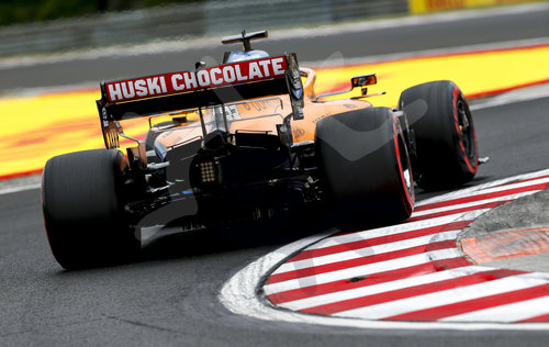 Motorsports: FIA Formula One World Championship 2020, Grand Prix of Hungary