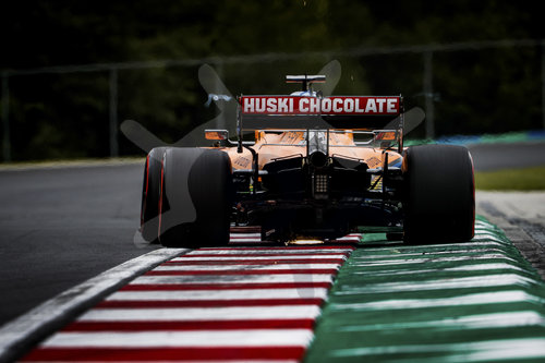 Motorsports: FIA Formula One World Championship 2020, Grand Prix of Hungary
