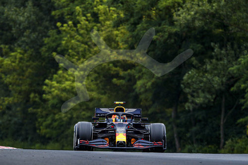 Motorsports: FIA Formula One World Championship 2020, Grand Prix of Hungary