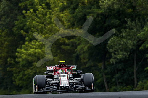 Motorsports: FIA Formula One World Championship 2020, Grand Prix of Hungary