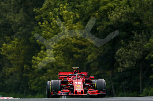 Motorsports: FIA Formula One World Championship 2020, Grand Prix of Hungary