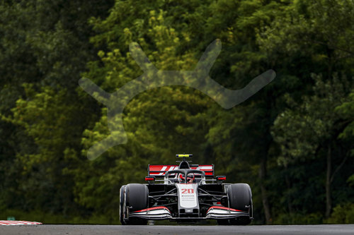 Motorsports: FIA Formula One World Championship 2020, Grand Prix of Hungary