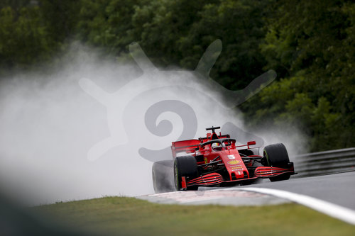 Motorsports: FIA Formula One World Championship 2020, Grand Prix of Hungary