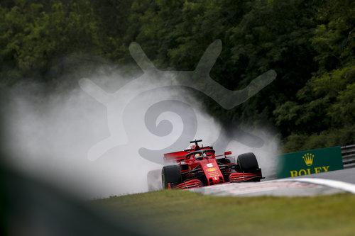 Motorsports: FIA Formula One World Championship 2020, Grand Prix of Hungary