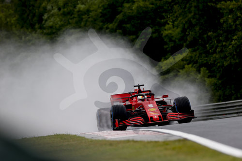 Motorsports: FIA Formula One World Championship 2020, Grand Prix of Hungary