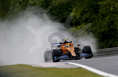 Motorsports: FIA Formula One World Championship 2020, Grand Prix of Hungary