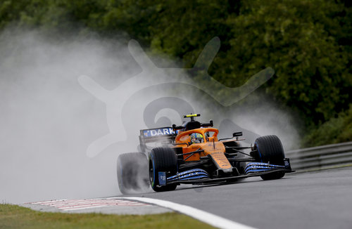 Motorsports: FIA Formula One World Championship 2020, Grand Prix of Hungary
