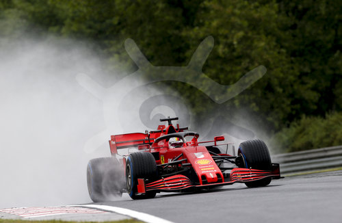 Motorsports: FIA Formula One World Championship 2020, Grand Prix of Hungary