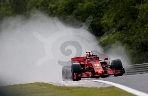 Motorsports: FIA Formula One World Championship 2020, Grand Prix of Hungary