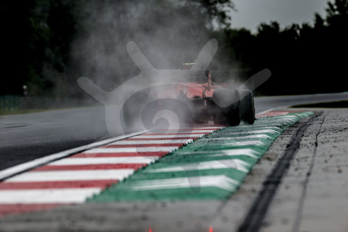 Motorsports: FIA Formula One World Championship 2020, Grand Prix of Hungary