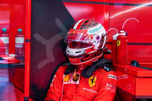 Motorsports: FIA Formula One World Championship 2020, Grand Prix of Hungary