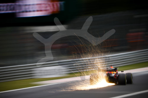 Motorsports: FIA Formula One World Championship 2020, Grand Prix of Hungary