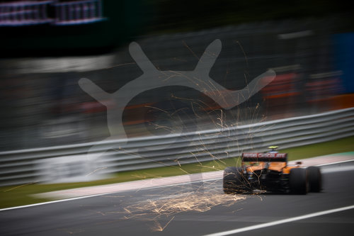 Motorsports: FIA Formula One World Championship 2020, Grand Prix of Hungary