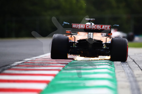 Motorsports: FIA Formula One World Championship 2020, Grand Prix of Hungary