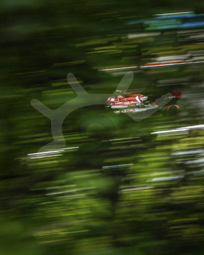 Motorsports: FIA Formula One World Championship 2020, Grand Prix of Hungary